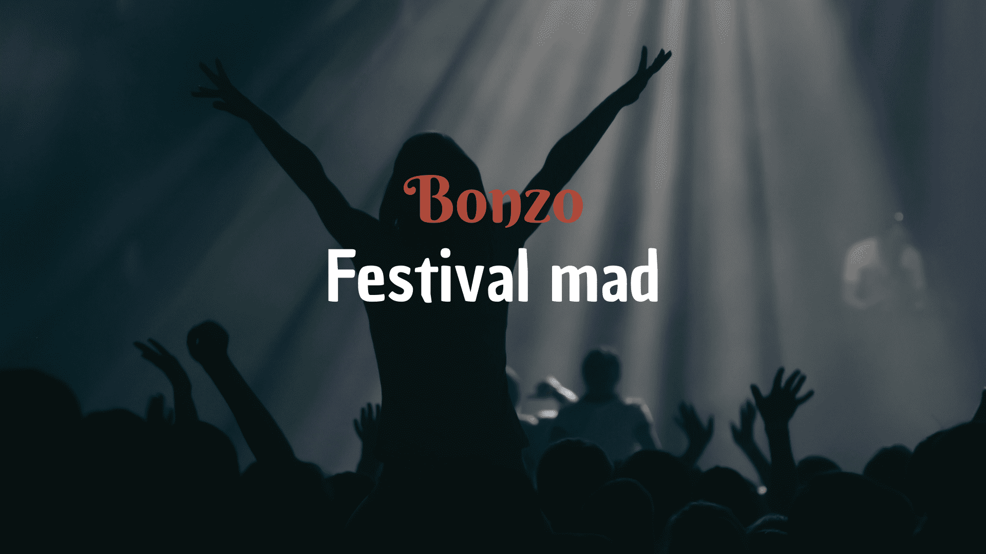 mad på festival bonzo